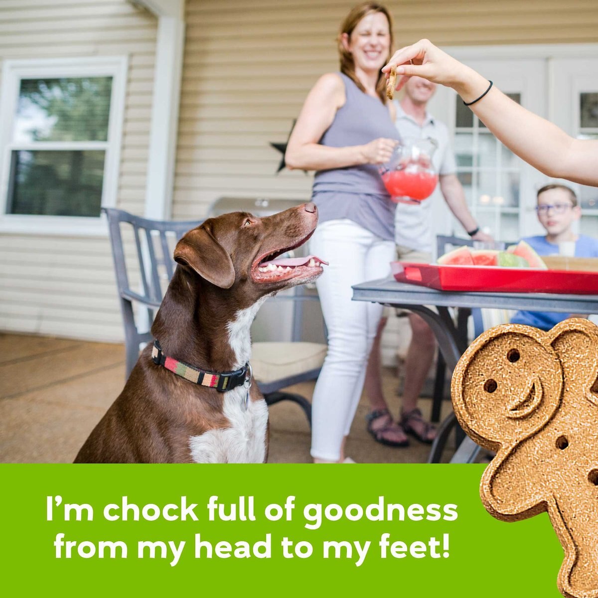 Buddy Biscuits Grain-Free Oven Baked with Rotisserie Chicken Dog Treats