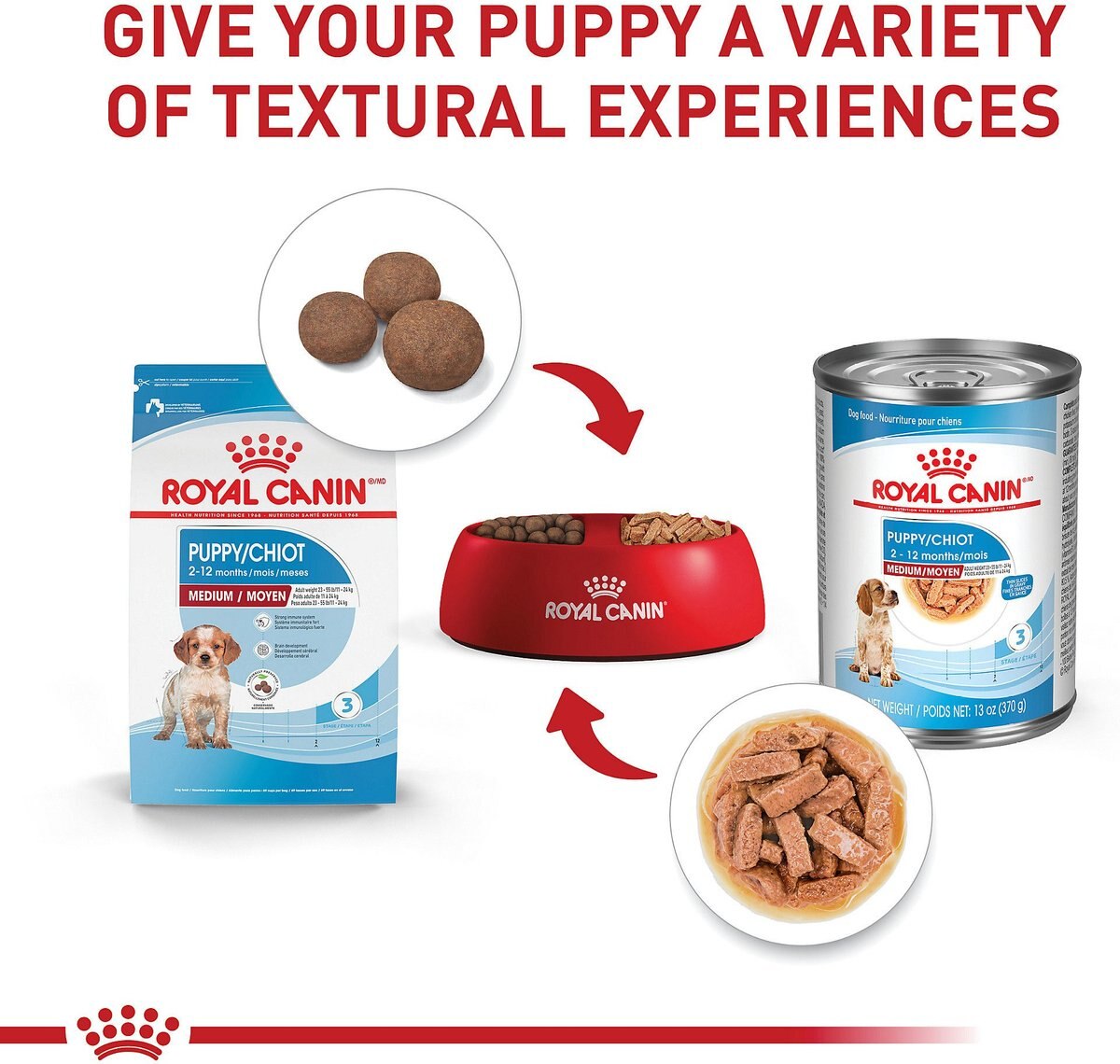 Royal Canin Size Health Nutrition Medium Puppy Thin Slices in Gravy Wet Dog Food， 13-oz， case of 12