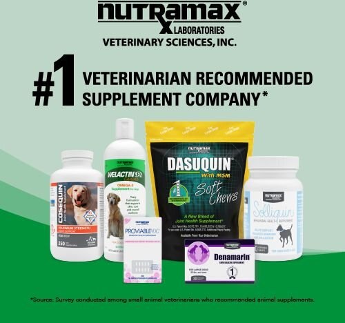 Nutramax Welactin Omega-3 Fish Oil Liquid Softgels Skin and Coat Supplement for Dogs