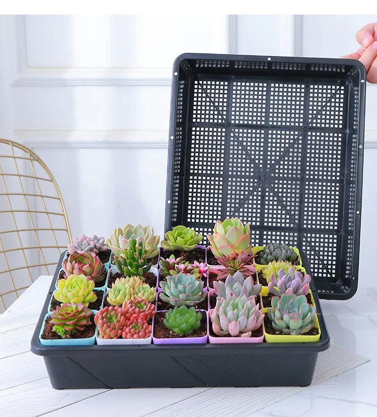 wholesale cheap garden supplies plastic tray 7 * 7 small square nursery pot water holding tray sorting tray