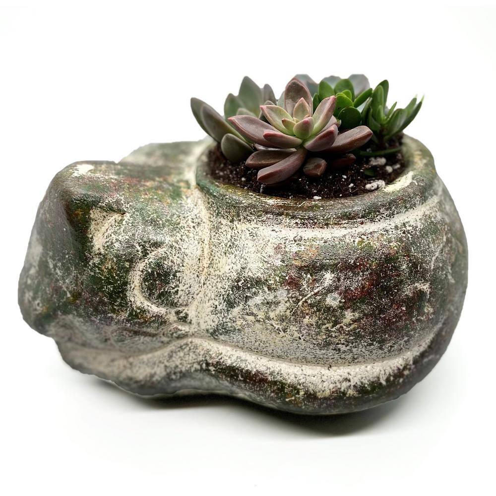 6 in. Laying Cat Succulent Planter 21905