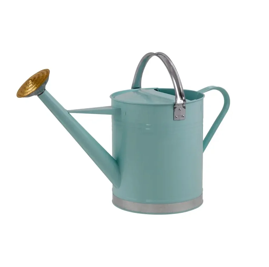 top trending Classic Royal blue New Design Cheap Wholesale Hotel Restaurant Home Metal watering Can/Pot for Garden