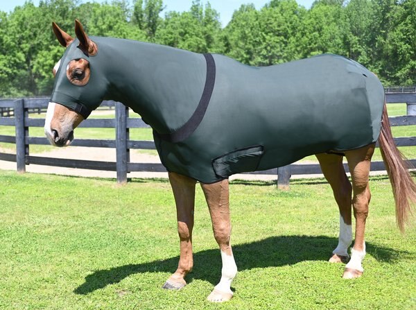 Gatsby StretchX Full Body Slicker Horse Sheet