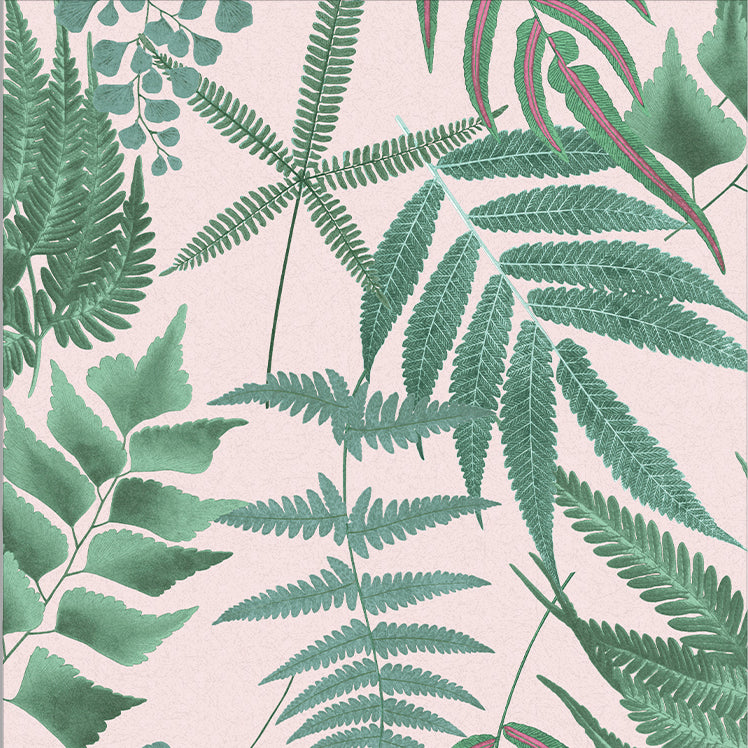 Sample Midsummer Wallpaper in Blush