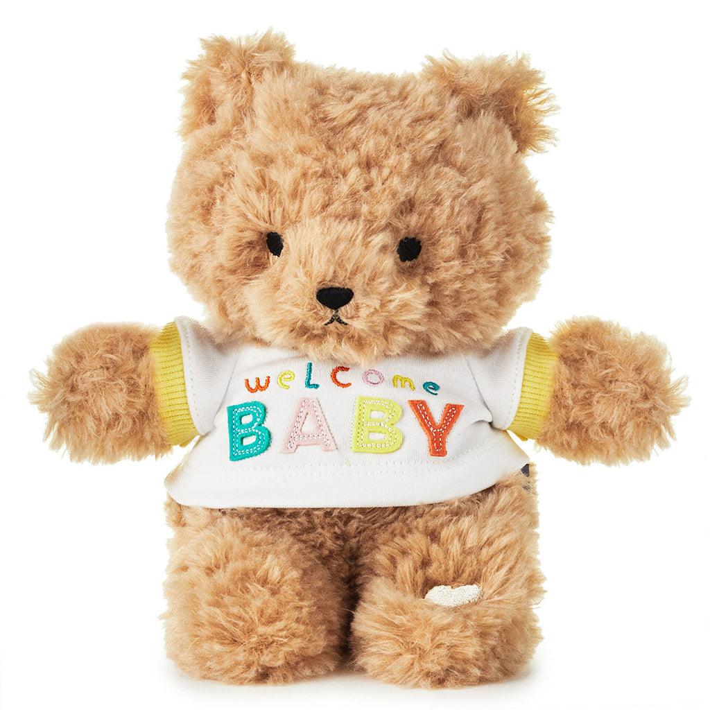 Hallmark  Welcome Baby Recordable Teddy Bear Stuffed Animal, 8.75