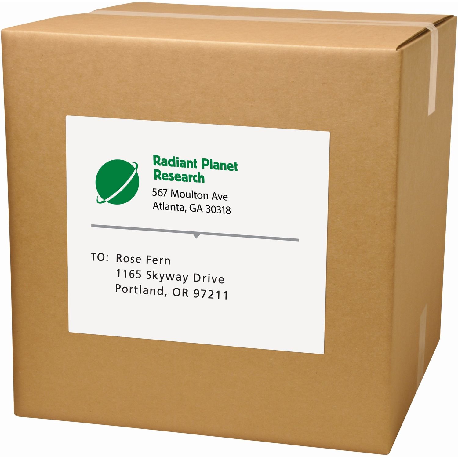 Full-Sheet Matte White Labels Bulk Pack by Avery AVE91200