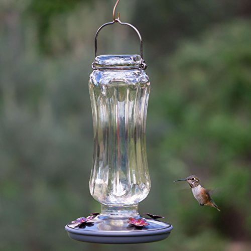 Perky-Pet Clear Starglow Vintage Glass Hummingbird Feeder - 16 oz