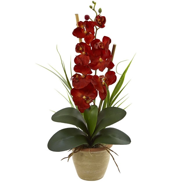 Nearly Natural 21 in Phalaenopsis Orchid Silk Arrangement In Ceramic Vase