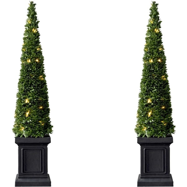 Fraser Hill Farm Set of Two 40 Boxwood Topiary Cones