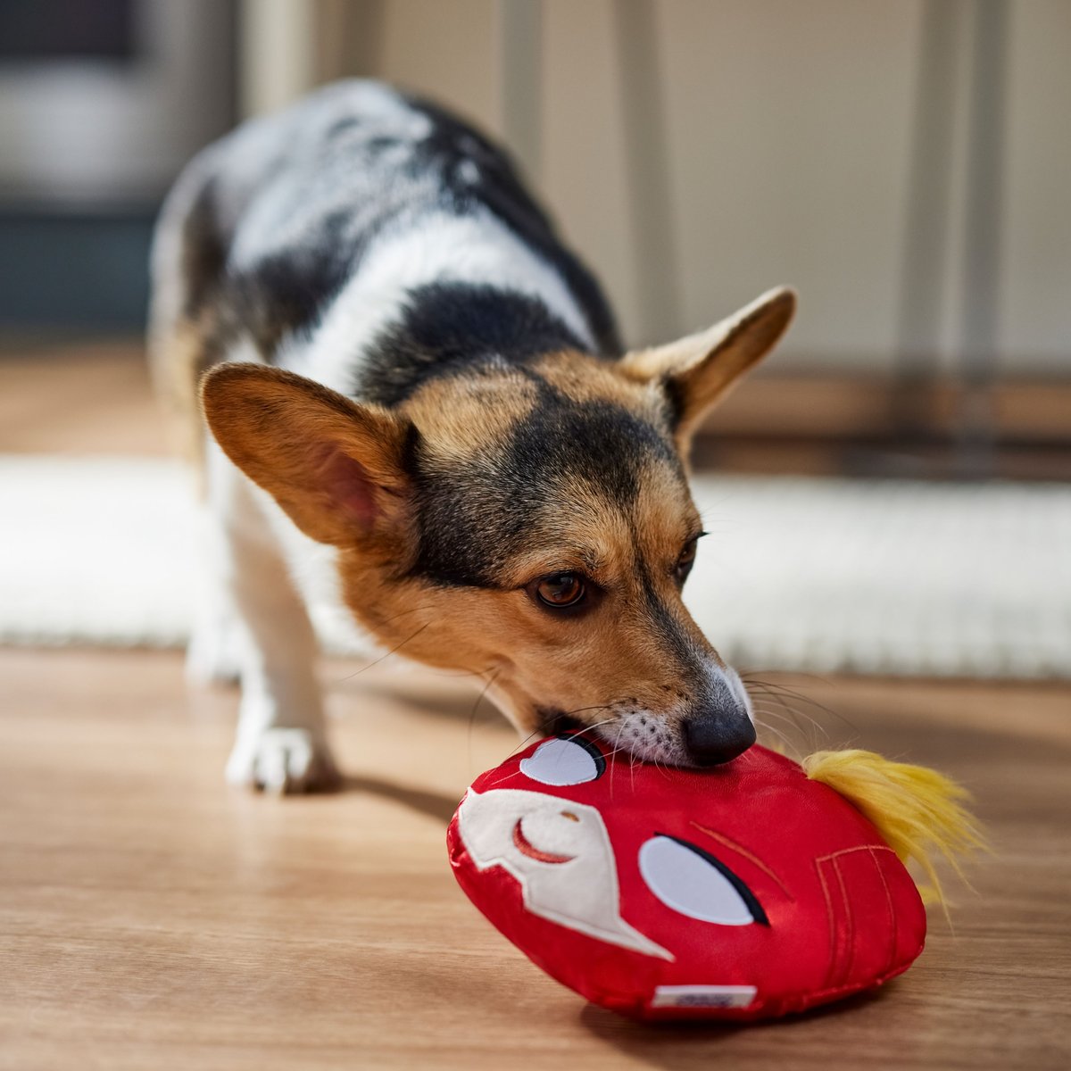 Marvel 's Captain Marvel Round Plush Squeaky Dog Toy