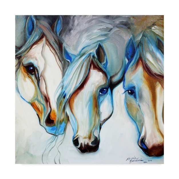 Trademark Fine Art marcia Baldwin x27 3 Nobles Equine Abstract x27 Canvas Art