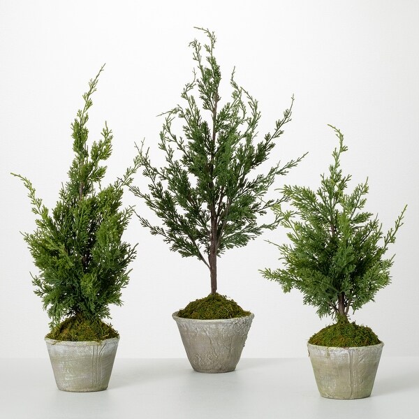 Sullivans 22，26 and 32 Faux Cedar Tree