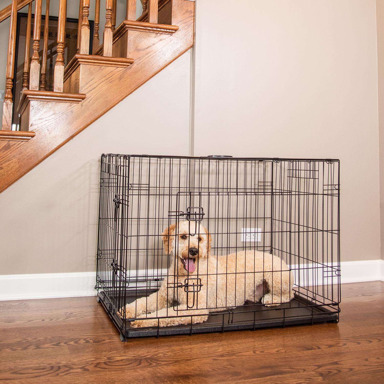 Pet Essentials Large Steel Dog Crate Black 30 in. H X 28 in. W X 42 in. D