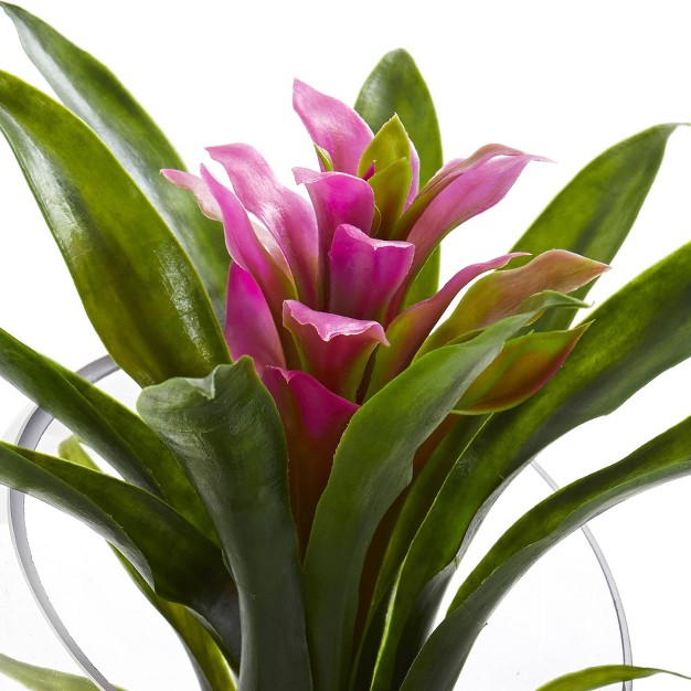 X 6 quot Artificial Tropical Bromeliad In Angled Glass Vase Purple Nearly Natural