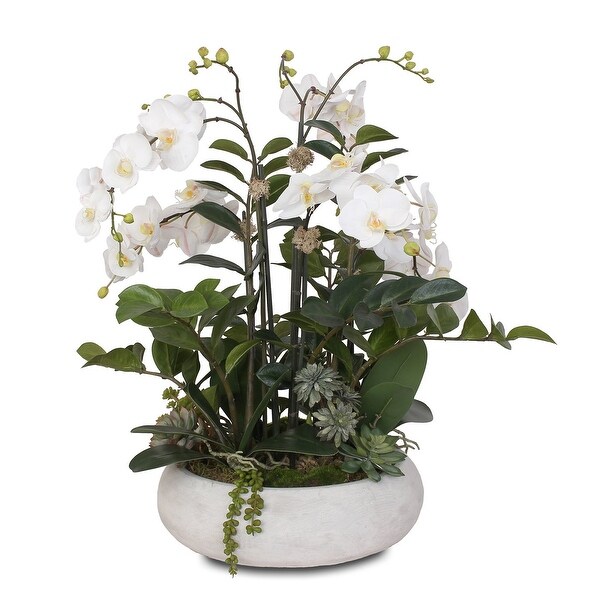 Two Tone White Silk Phalaenopsis Orchids，Succulents，ZZ Plant in Pot