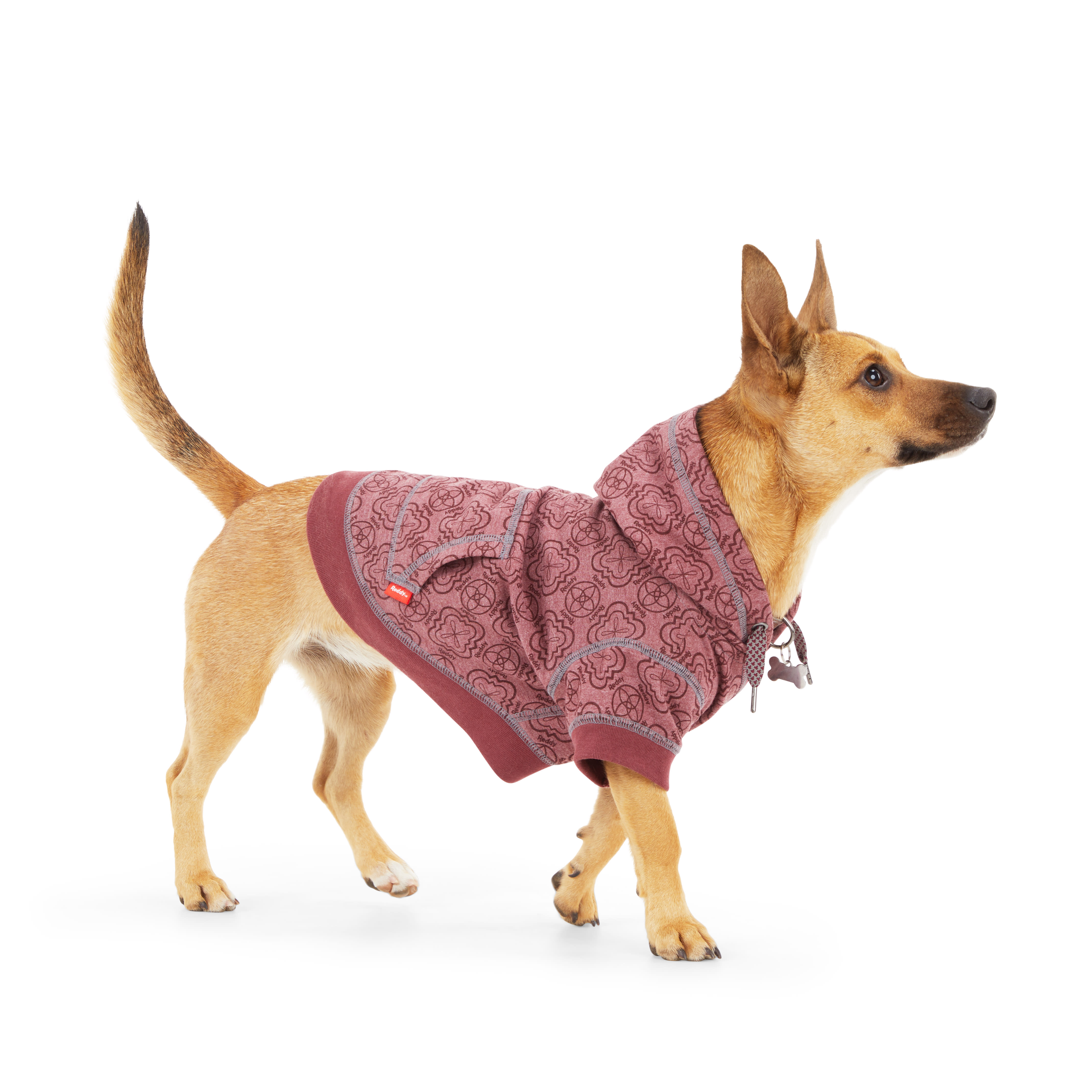 Reddy Pink Dog Hoodie， X-Small