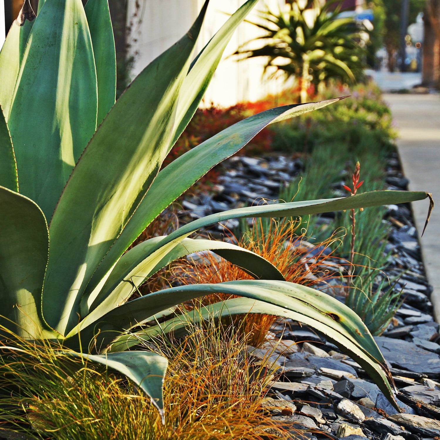 Black and Tan Slate Rock for Aquariums, Aqua-scaping, & Garden Stones