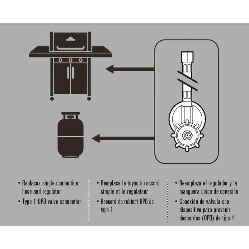 GAS HOSE N REGULATR 20