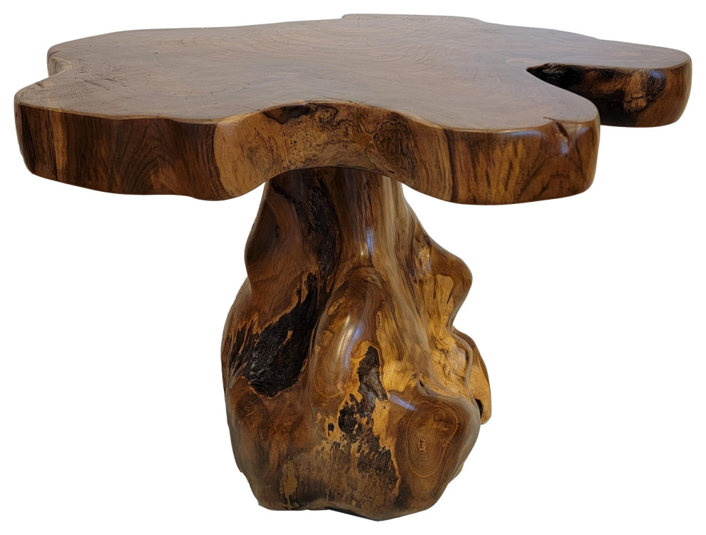 Live Edge Large Wood Accent Table 25 in Free Form Teak Root Natural Tree Trunk   Rustic   Side Tables And End Tables   by My Swanky Home  Houzz