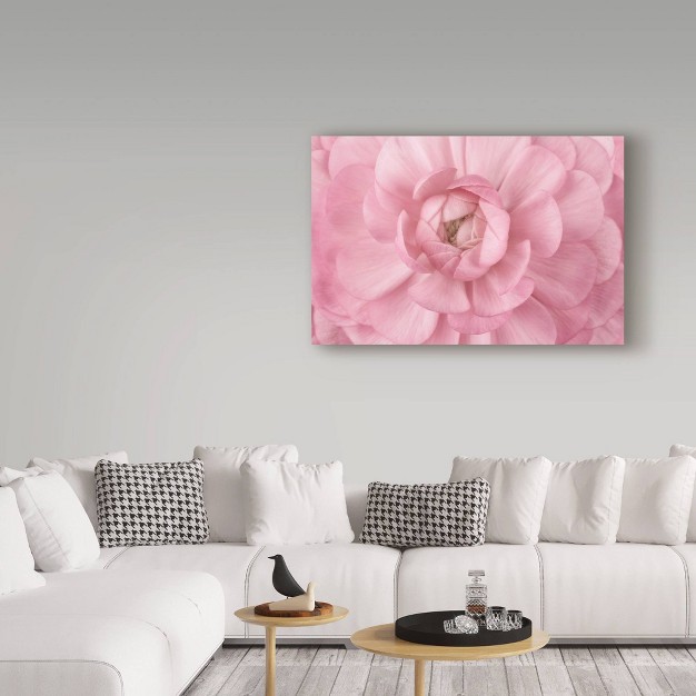 X 32 quot Pink Flower Petals By Cora Niele Trademark Fine Art