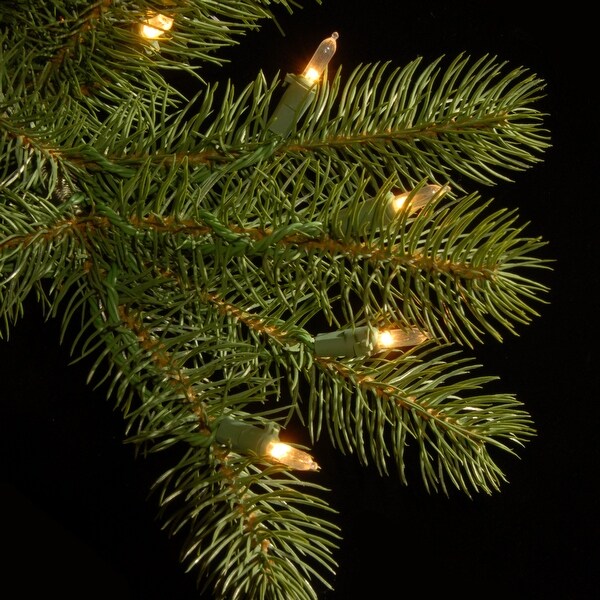 National Tree Company 9 ft. Downswept Douglas Fir Tree with Dual Color LED Lights