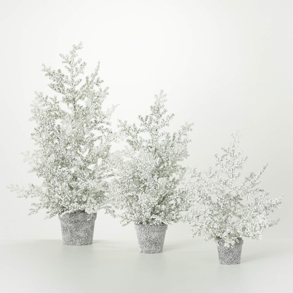 19H，23H and 32H Sullivans Artificial Christmas Frosted Juniper Tabletop Trees Set of 3，White