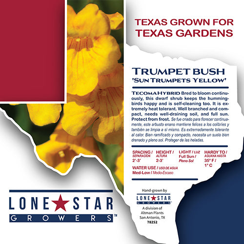 Lone Star Growers by Altman Plants 2Gal Yellow Tecoma Sun Trumpets