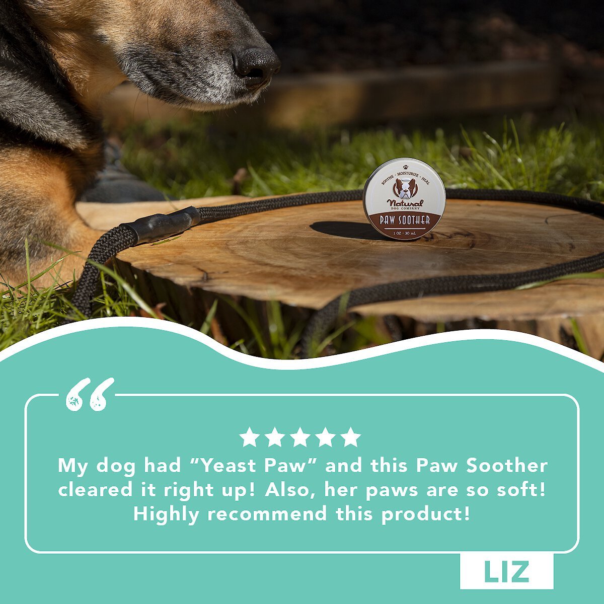 Natural Dog Company Paw Soother Dog Paw Balm