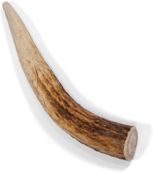 Little Loyals Grade A Premium Whole Deer Antler Chew Dog Treat