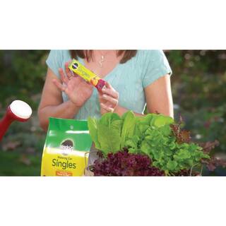 Miracle-Gro Watering Can Singles Water-Soluble Plant Food Packets (24-Pack) 1013202