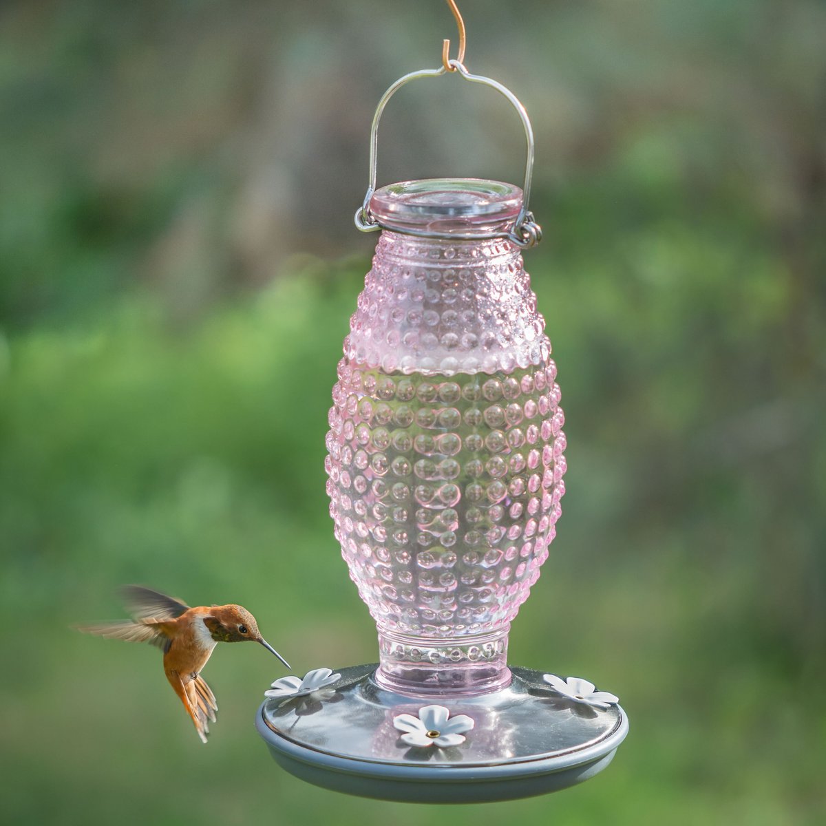 Perky-Pet Hobnail Vintage Hummingbird Feeder