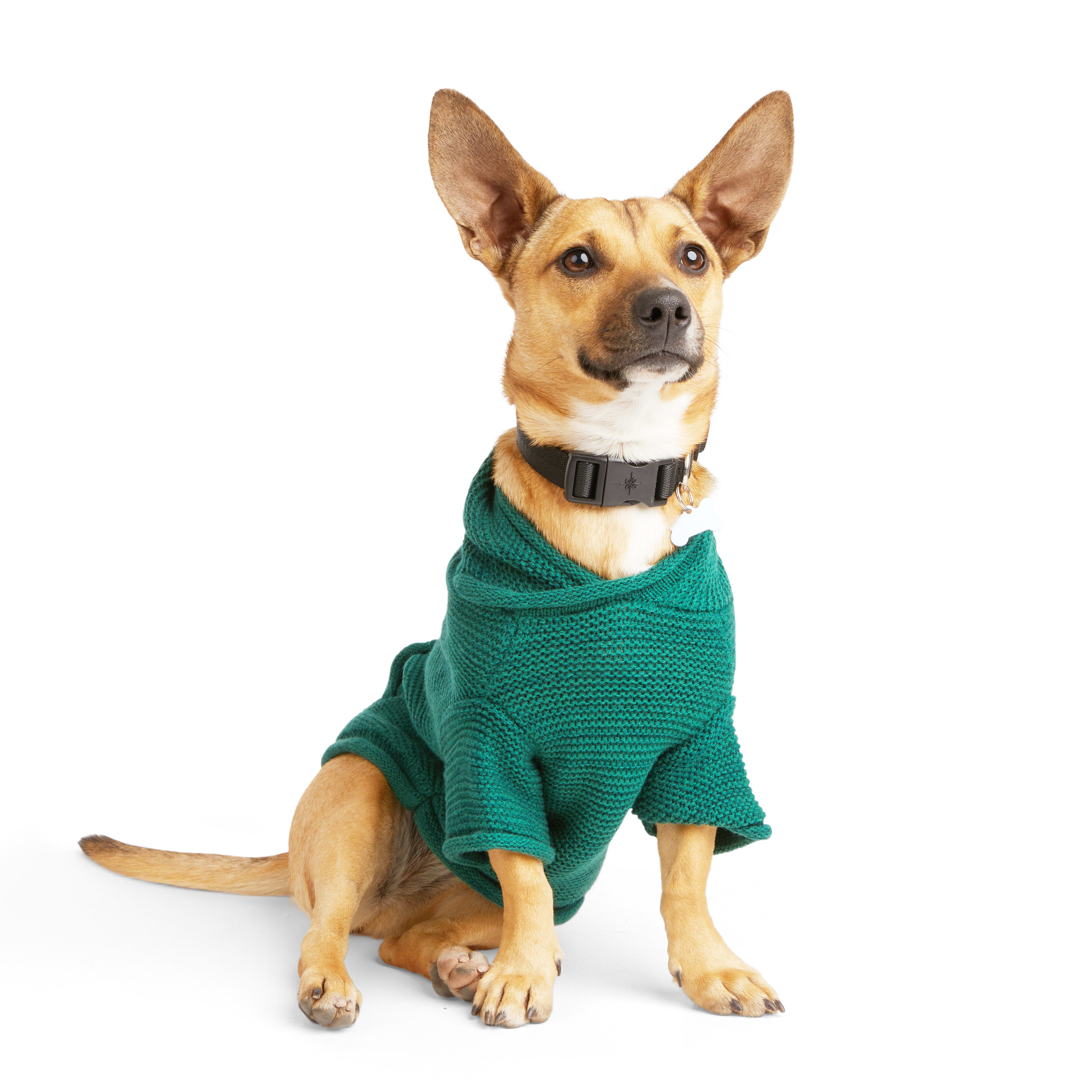 YOULY Green Sweater Dog Hoodie， XX-Small