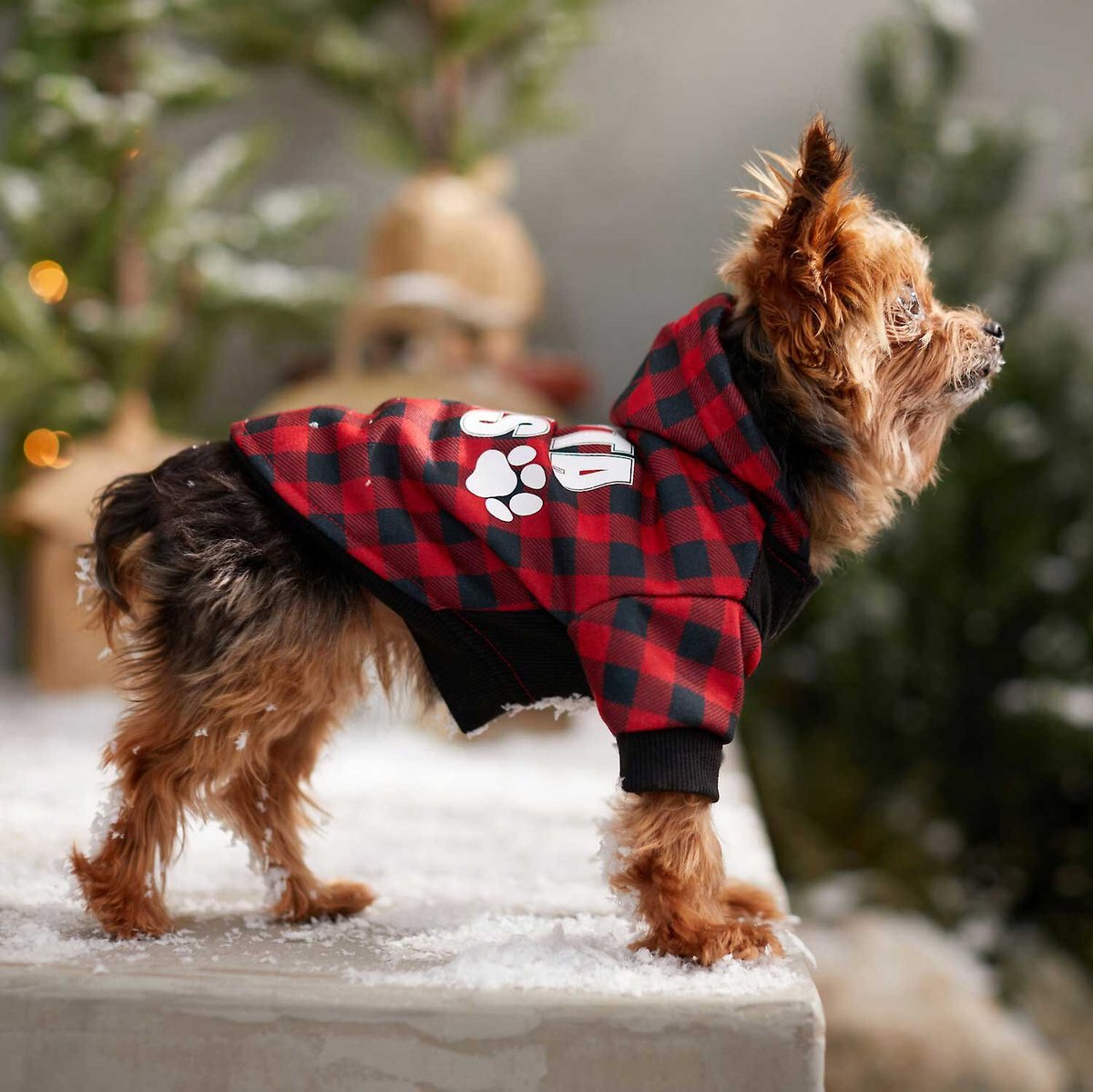 Frisco Plaid Santa Paws Dog and Cat Hoodie