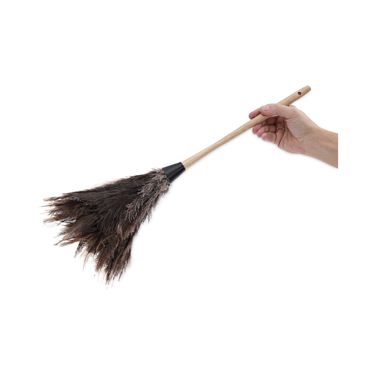 Professional Ostrich Feather Duster by Boardwalkandreg; BWK23FD