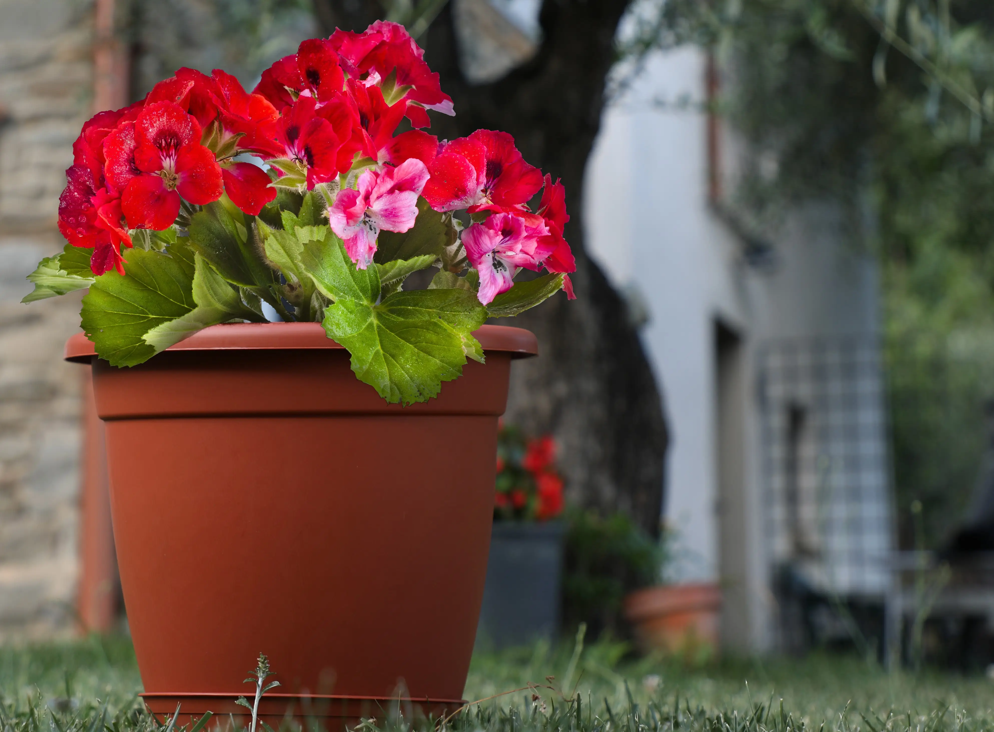 New Arrivals 2024 Garden Pot Plastic Flower Pot Italian  For Your Plants