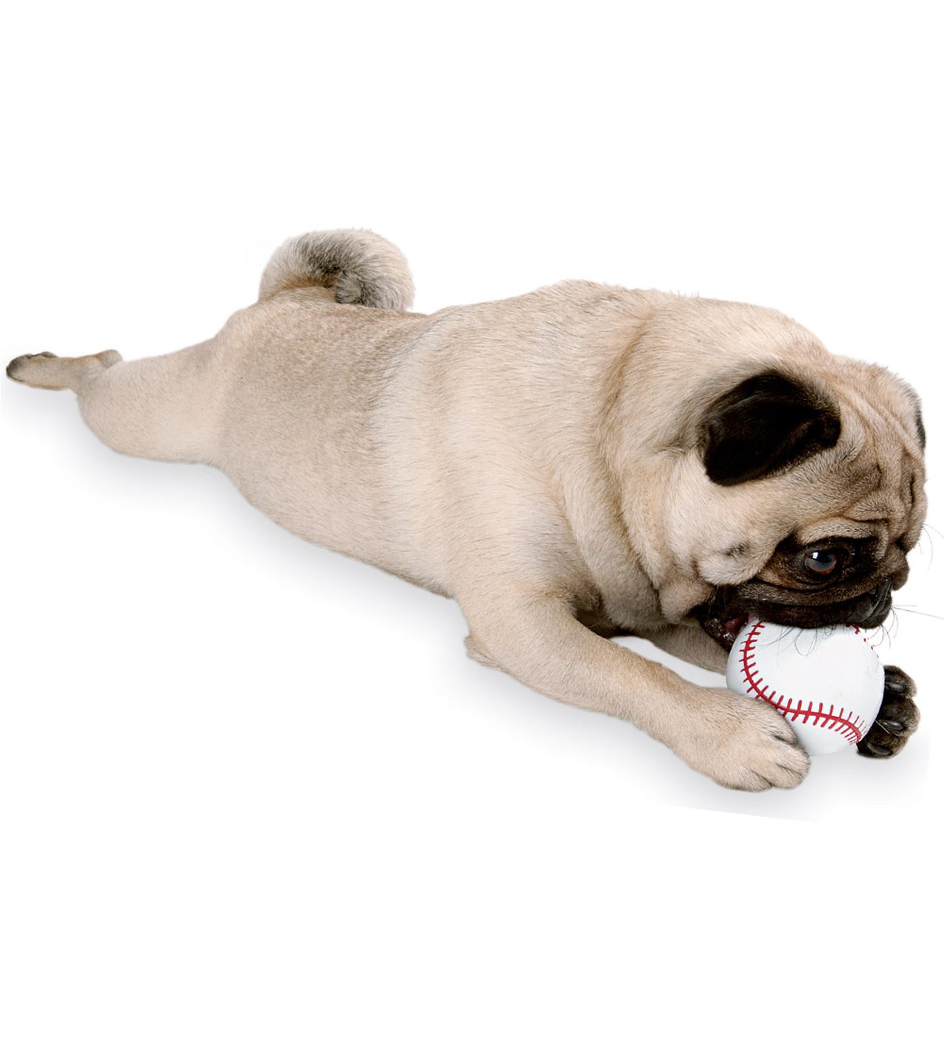 Planet Dog Orbee-Tuff® Baseball Dog Toy