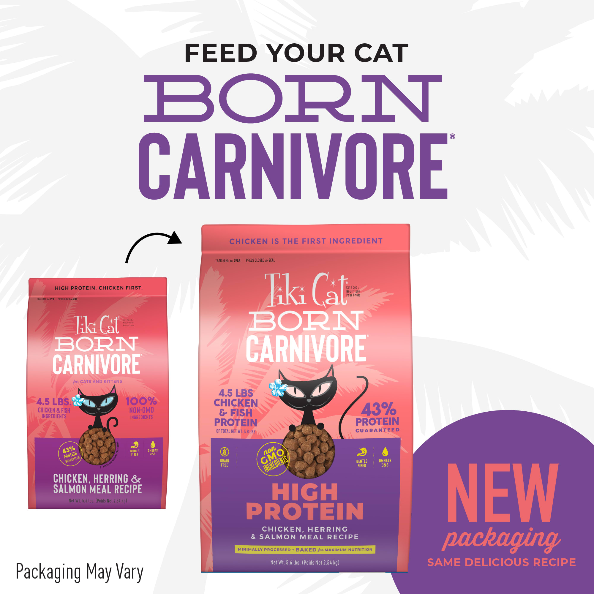 Tiki Cat Born Carnivore Chicken  Herring Dry Food， 11.1 lbs.