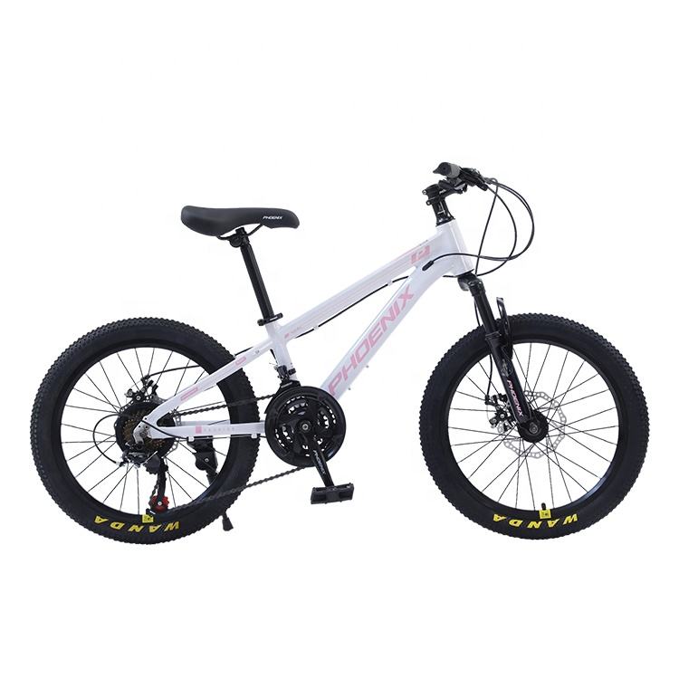 Men Gender Mtb Customized Downhill 26 Inch Mountain Bike Mountain Bicycle