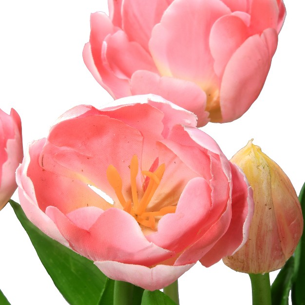 Pink Tulip Flowers