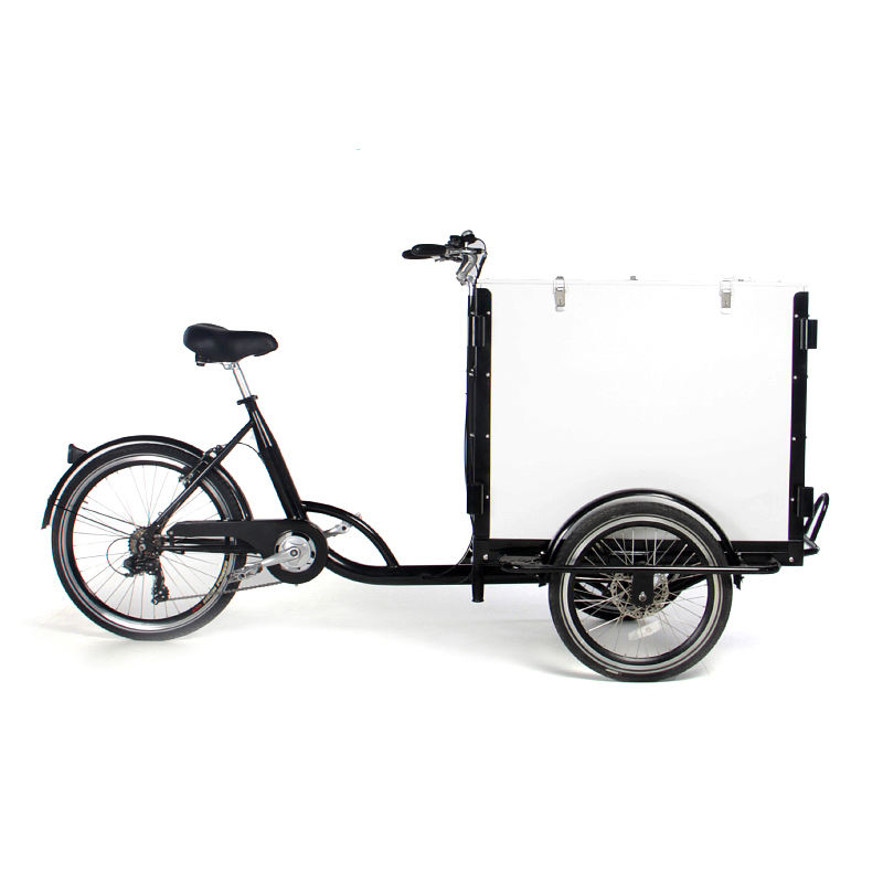 Popular Adult Cargo Bike 3 Wheel Electric Bicycle Cycling for Family Carrying Kids Children Shopping Cart