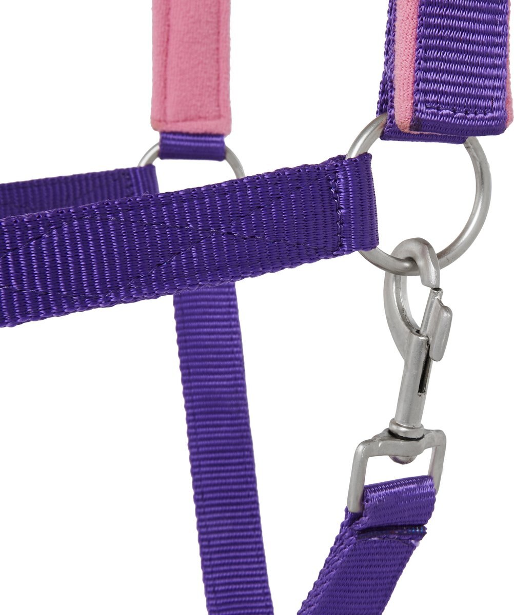 Tough-1 Nylon Padded Halter with Satin Horse Hardware， Purple