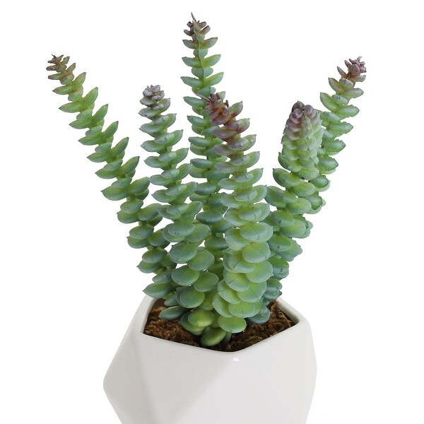 Artificial Succulent