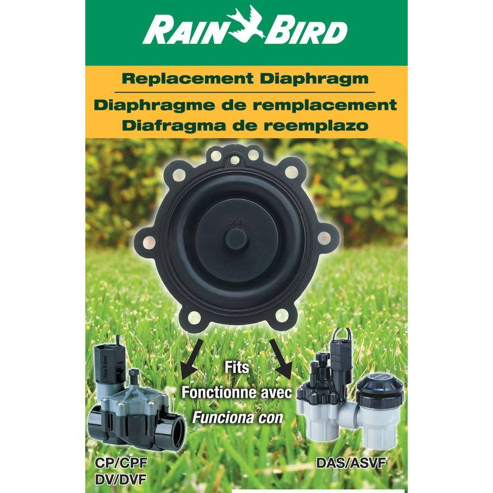 Rain Bird Diaphragm Replacement Kit for Non-Jar Top Valves DRKCPCPF