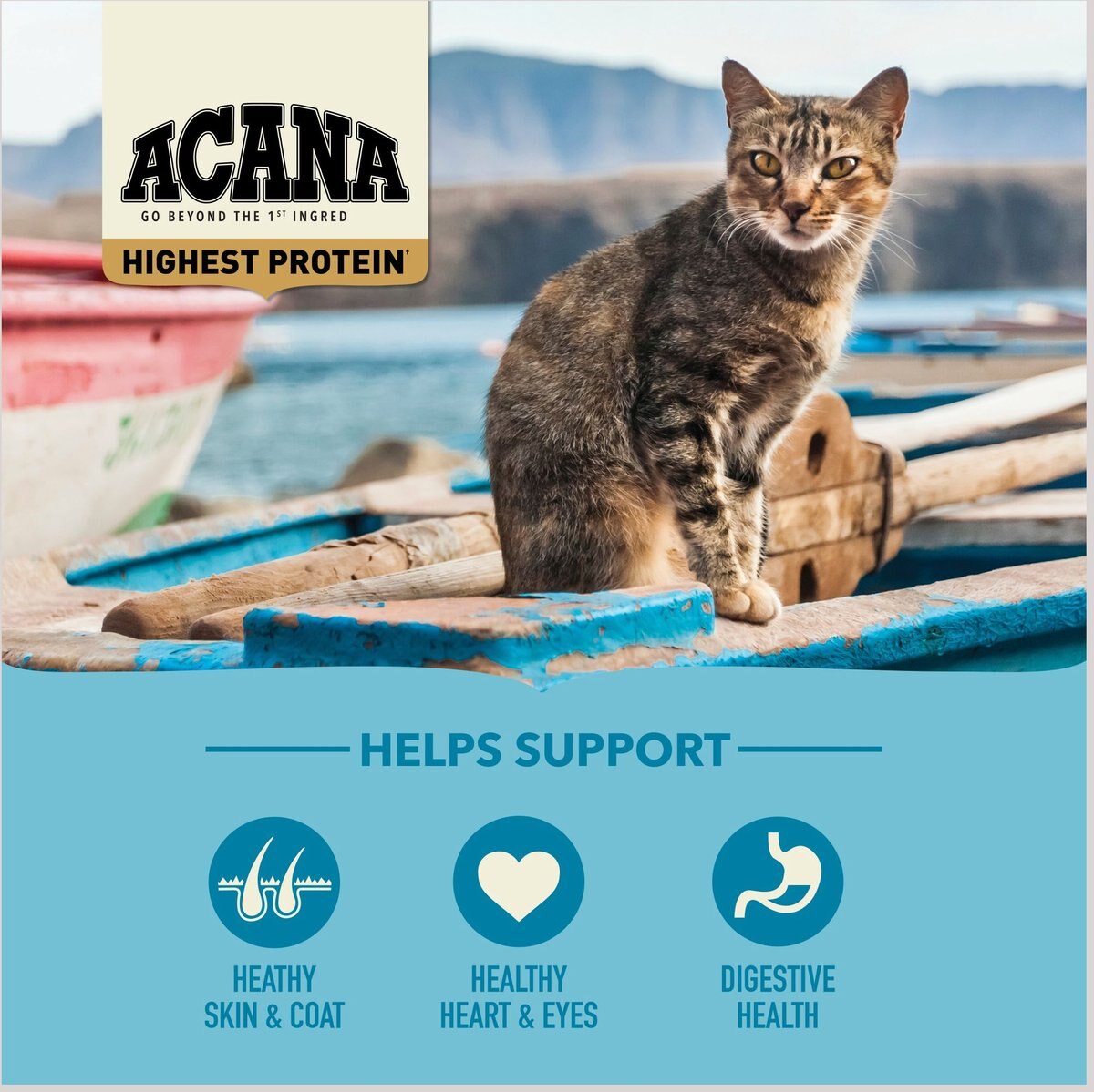 ACANA Wild Atlantic Grain-Free Dry Cat Food