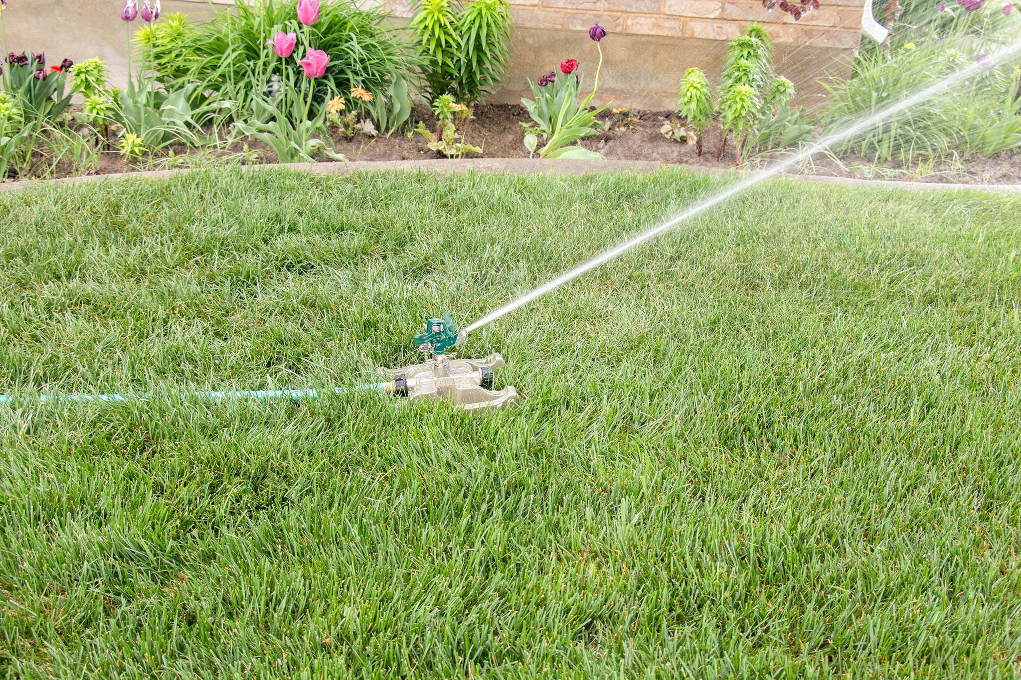 Orbit Irrigation Pro Series Impact Sprinkler with Metal Sled Base