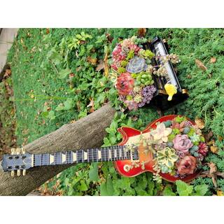 Cesicia Succulent Plants Collection Flowers with Guitar Decorative Base DRZWPlant28