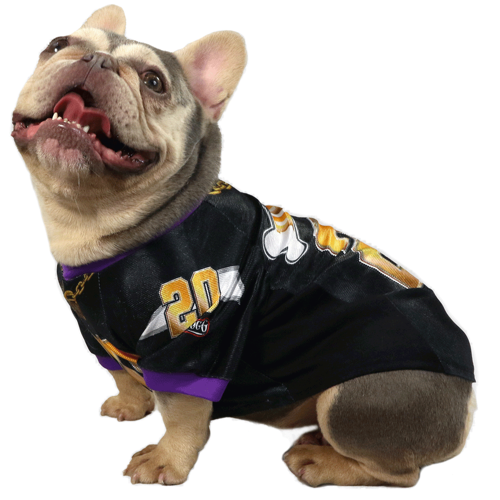 Snoop Doggie Doggs Deluxe Pet Jersey Off the Chain