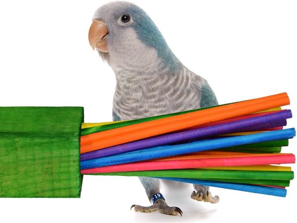 Super Bird Creations Paper Party Bird Toy， Large