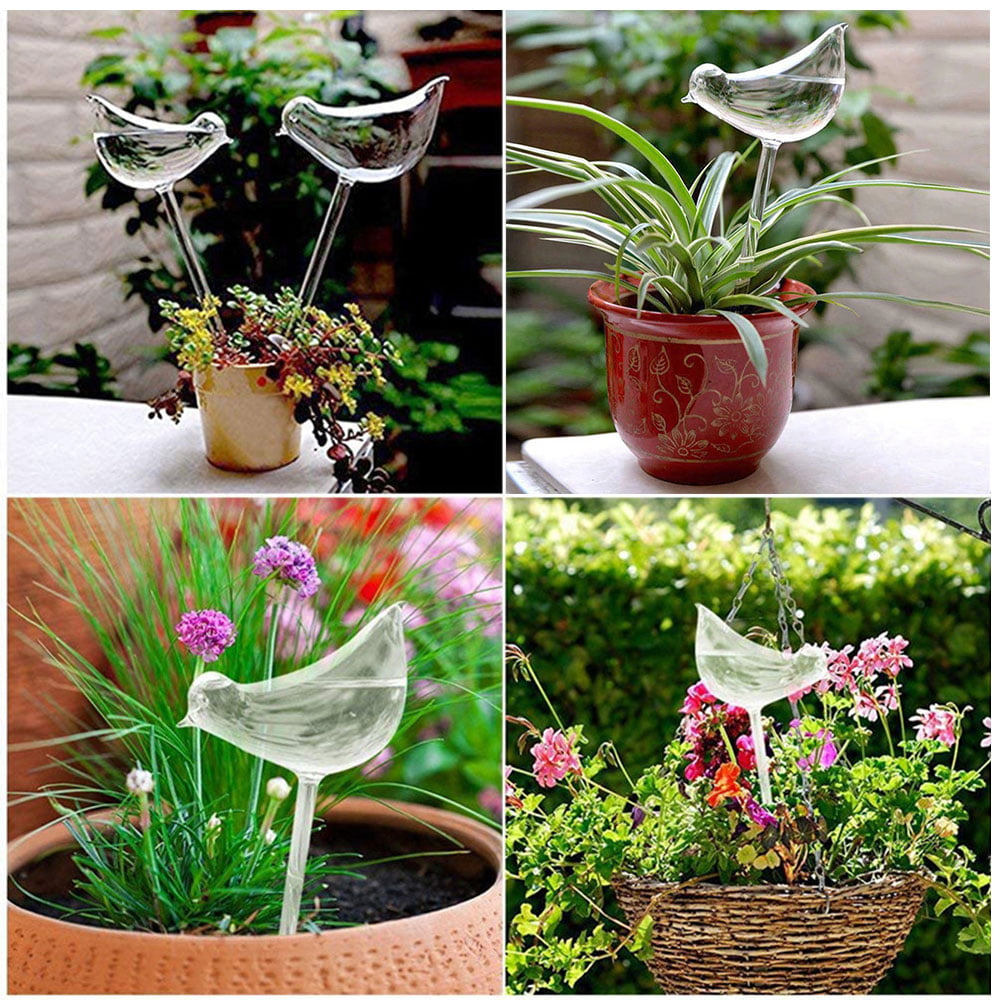 HOTBEST Watering Aqua Globes Plant Automatic Watering Bulbs Bird Glass Automatic Plant Waterer HaBlown Clear Glass (6Pcs)