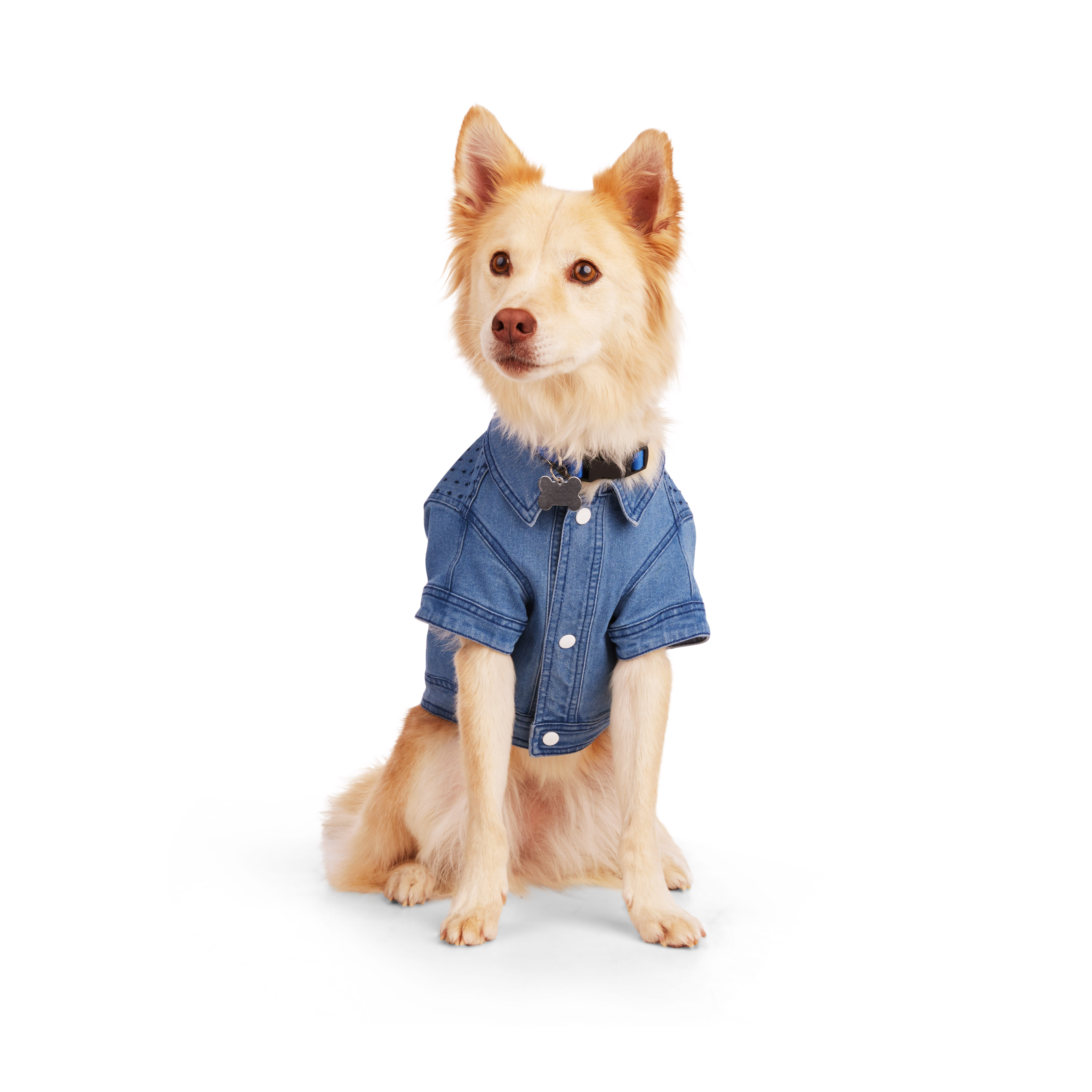 YOULY Blue Denim Jacket for Dogs， XX-Small